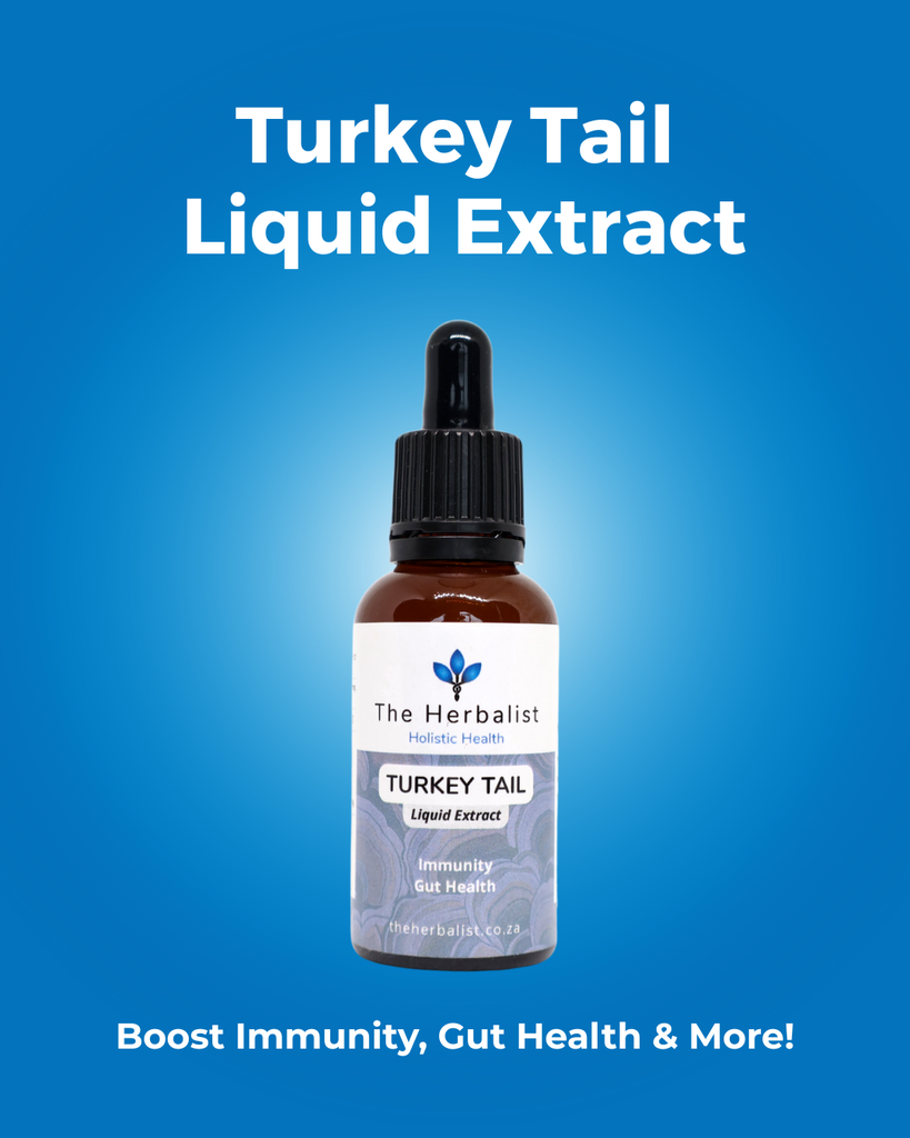 Turkey Tail Liquid Extract 30ml