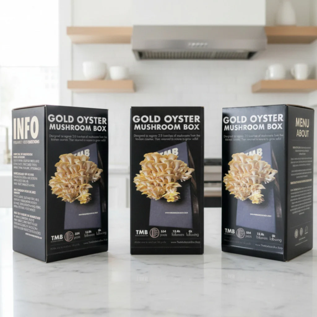 Golden Oyster 4.webp