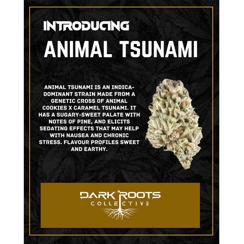 Animal Tsunami 2.webp