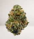 Girl Scout Cookies b.jpg