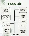 Infographic.webp