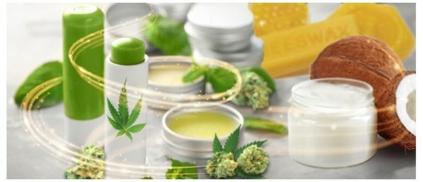 CBD Lip Balm 10ml (Cocoa Butter & Vanilla)