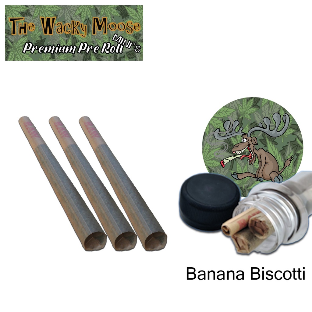 Wacky Moose Premium Pre-Rolls - Mini's - Indoor - Banana Biscotti (Hybrid) 3's