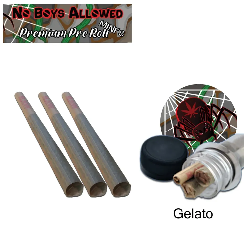 No Boys Allowed Premium Pre-Rolls - Mini's - Greendoor - Gelato (Sativa) 3's