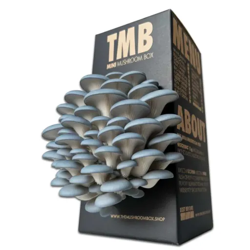 Mushroom Grow Box - Blue Oyster Mushrooms