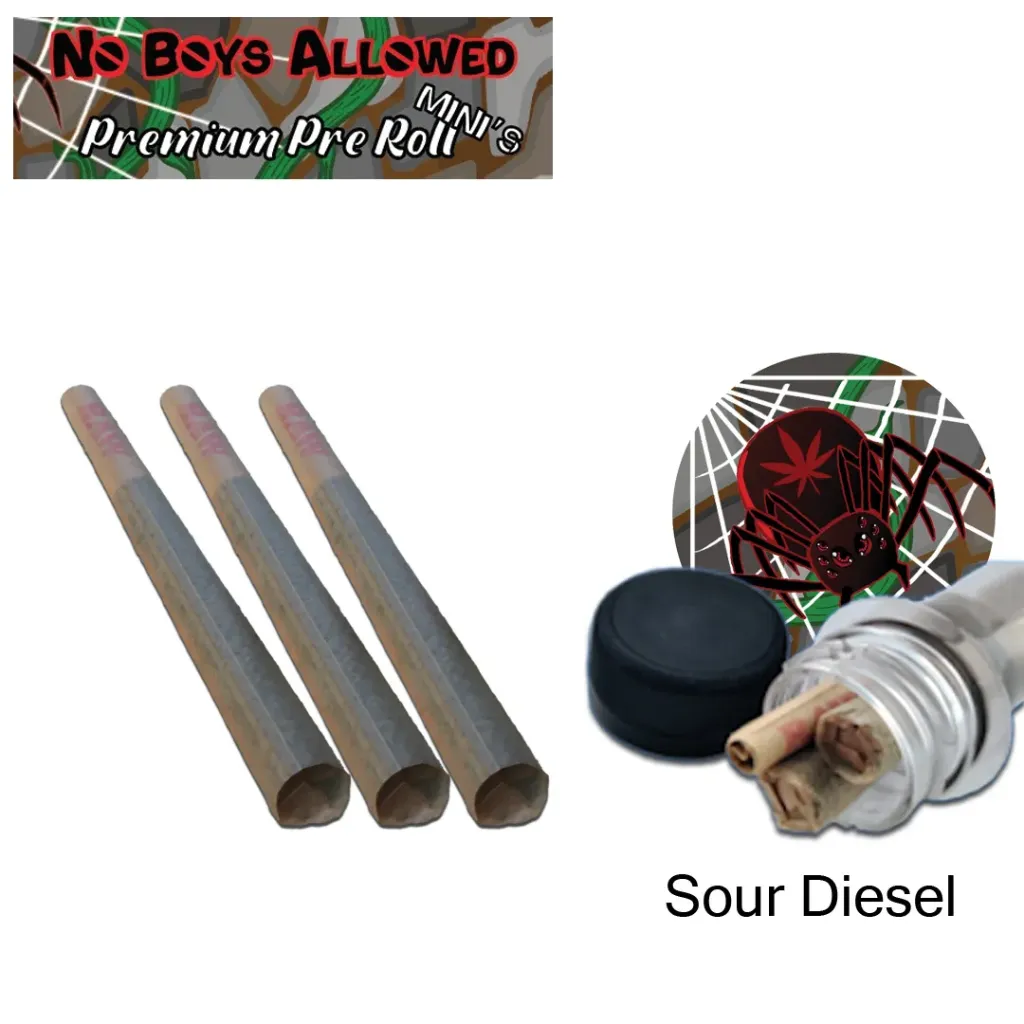 No Boys Allowed Premium Pre-Rolls - Mini's - Greendoor - Sour Diesel (Sativa) 3's