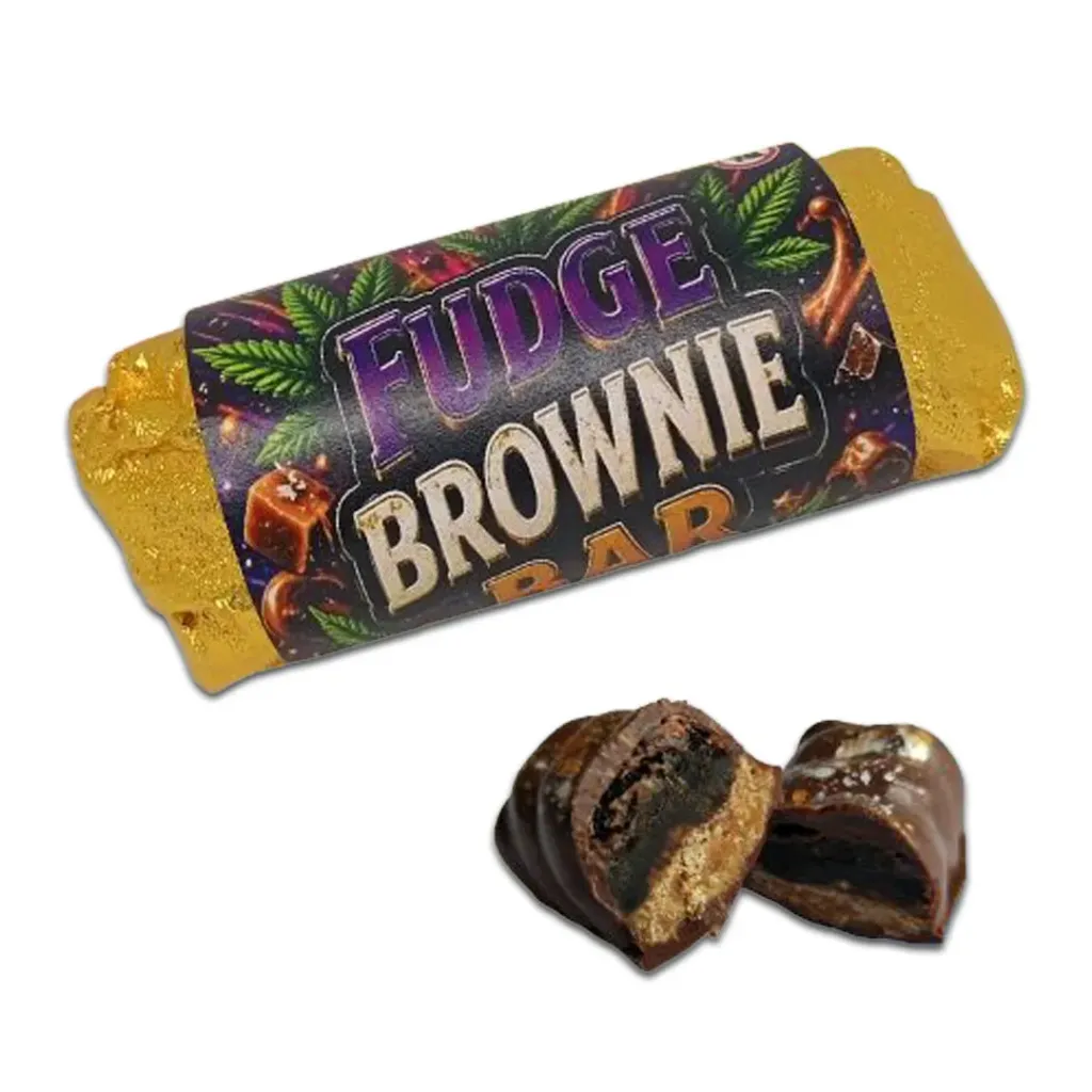 Fudge Brownie Bars (Pack of 10)